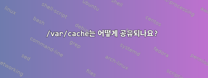 /var/cache는 어떻게 공유되나요?