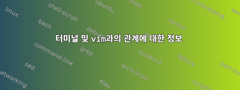 터미널 및 vim과의 관계에 대한 정보