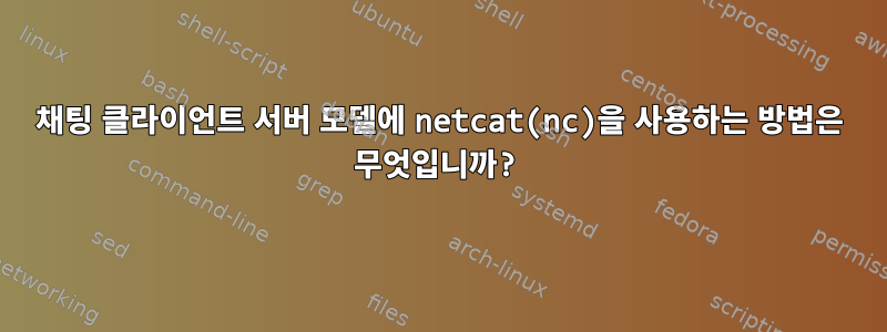 채팅 클라이언트 서버 모델에 netcat(nc)을 사용하는 방법은 무엇입니까?