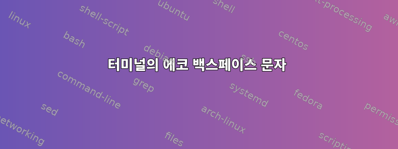 터미널의 에코 백스페이스 문자