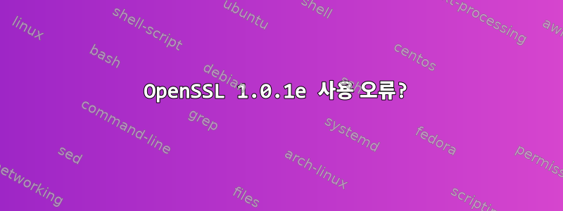 OpenSSL 1.0.1e 사용 오류?