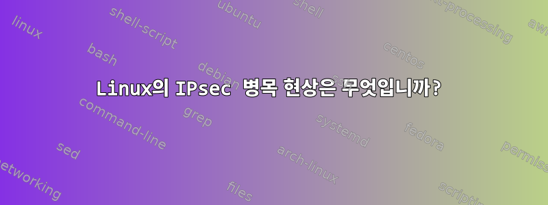 Linux의 IPsec 병목 현상은 무엇입니까?