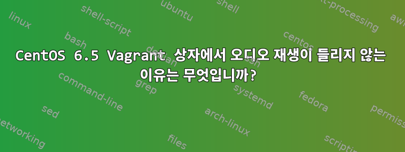 CentOS 6.5 Vagrant 상자에서 오디오 재생이 들리지 않는 이유는 무엇입니까?