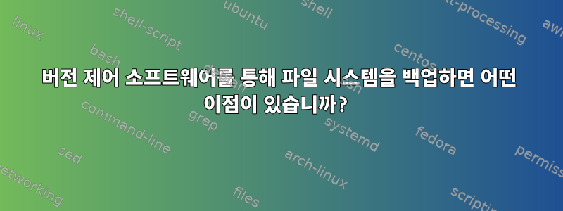 버전 제어 소프트웨어를 통해 파일 시스템을 백업하면 어떤 이점이 있습니까?