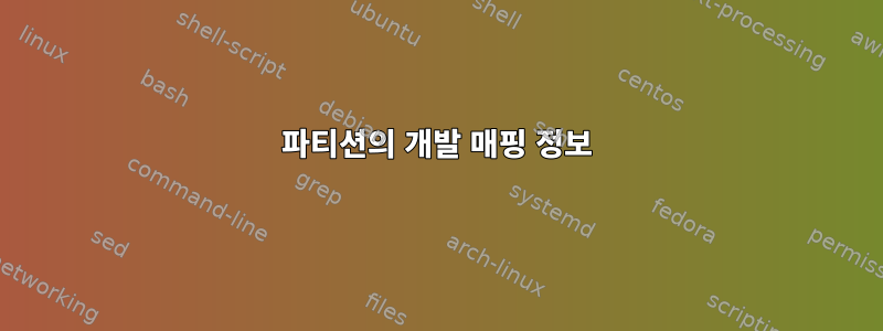 파티션의 개발 매핑 정보