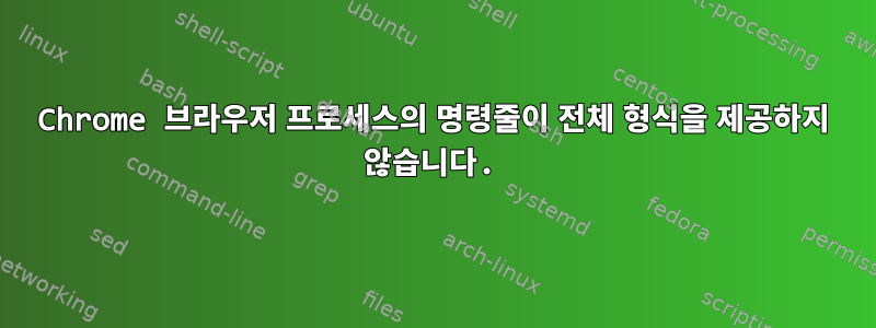 Chrome 브라우저 프로세스의 명령줄이 전체 형식을 제공하지 않습니다.