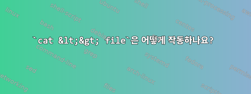 `cat &lt;&gt; file`은 어떻게 작동하나요?