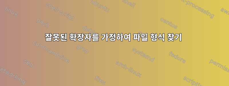 잘못된 확장자를 가정하여 파일 형식 찾기