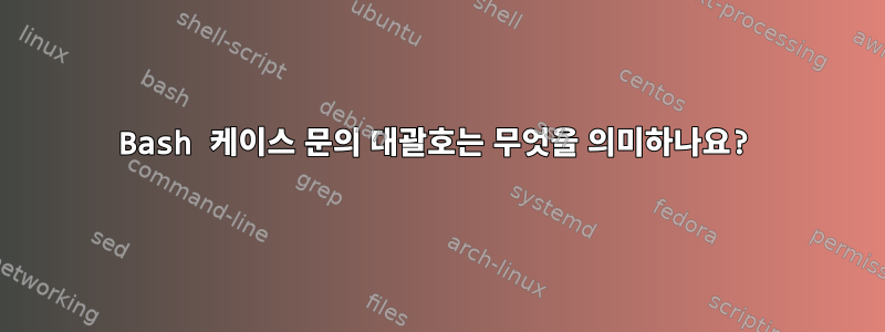 Bash 케이스 문의 대괄호는 무엇을 의미하나요?