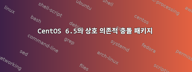 CentOS 6.5의 상호 의존적 충돌 패키지