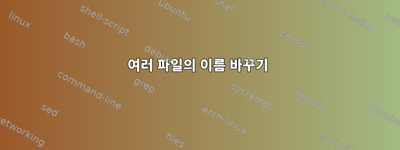 여러 파일의 이름 바꾸기