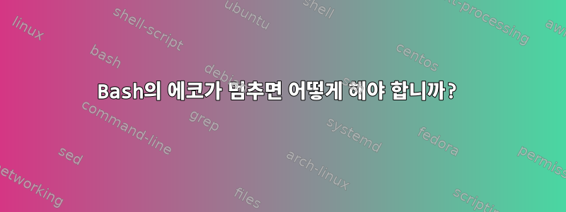 Bash의 에코가 멈추면 어떻게 해야 합니까?