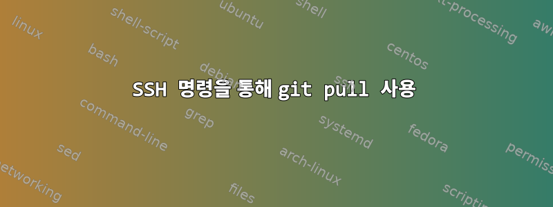 SSH 명령을 통해 git pull 사용