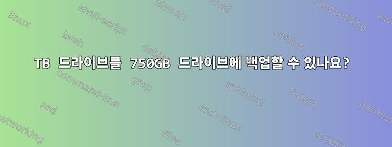 1TB 드라이브를 750GB 드라이브에 백업할 수 있나요?