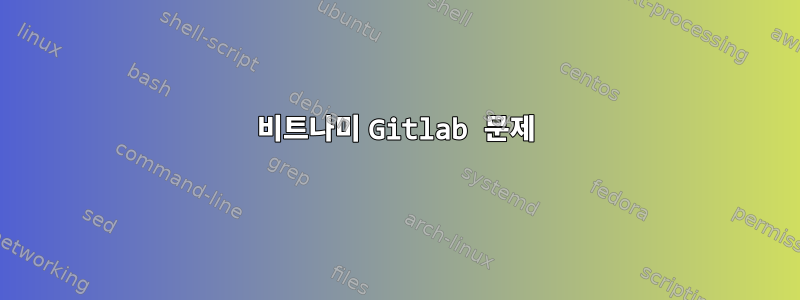 비트나미 Gitlab 문제