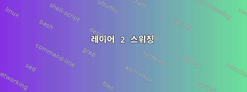 레이어 2 스위칭