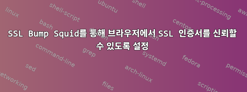 SSL Bump Squid를 통해 브라우저에서 SSL 인증서를 신뢰할 수 있도록 설정