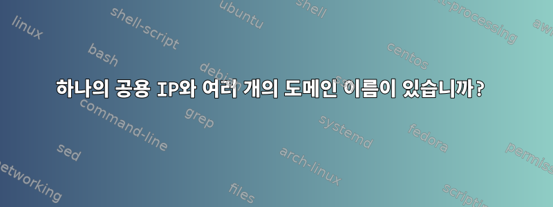 하나의 공용 IP와 여러 개의 도메인 이름이 있습니까?