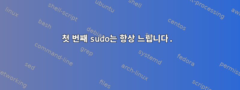 첫 번째 sudo는 항상 느립니다.