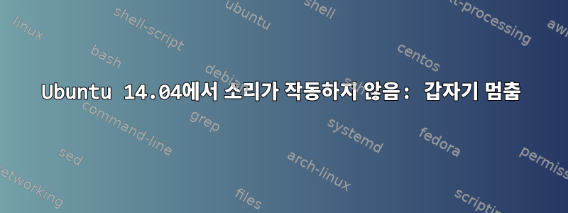 Ubuntu 14.04에서 소리가 작동하지 않음: 갑자기 멈춤