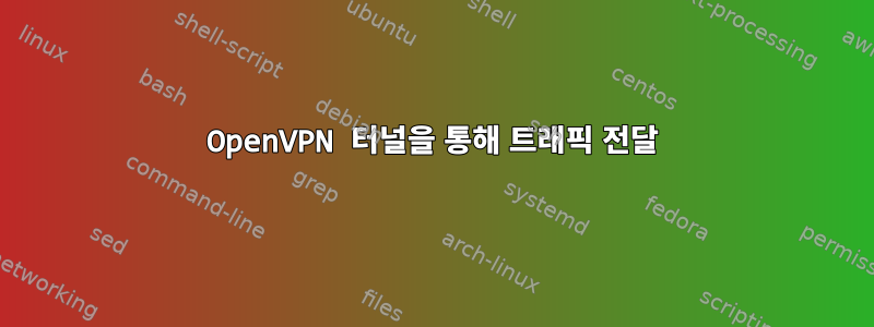 OpenVPN 터널을 통해 트래픽 전달