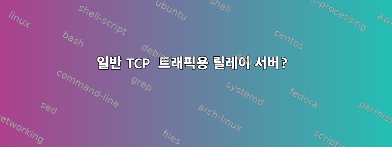 일반 TCP 트래픽용 릴레이 서버?