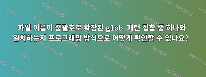 파일 이름이 중괄호로 확장된 glob 패턴 집합 중 하나와 일치하는지 프로그래밍 방식으로 어떻게 확인할 수 있나요?