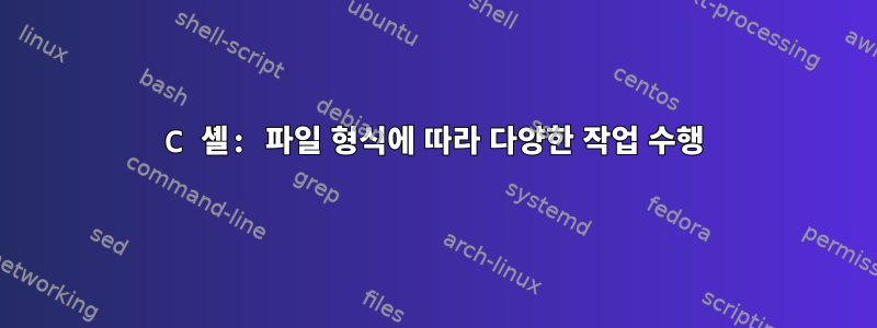 C 셸: 파일 형식에 따라 다양한 작업 수행