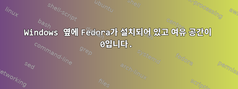 Windows 옆에 Fedora가 설치되어 있고 여유 공간이 0입니다.