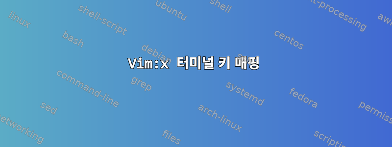 Vim:x 터미널 키 매핑