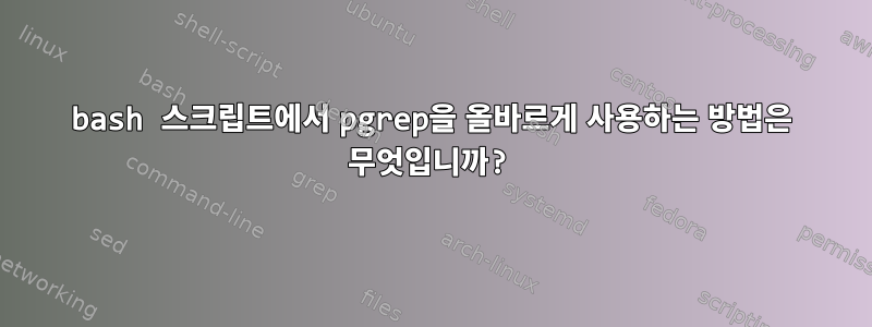 bash 스크립트에서 pgrep을 올바르게 사용하는 방법은 무엇입니까?