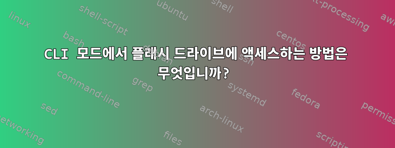 CLI 모드에서 플래시 드라이브에 액세스하는 방법은 무엇입니까?