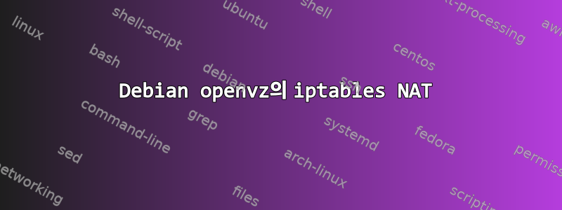 Debian openvz의 iptables NAT