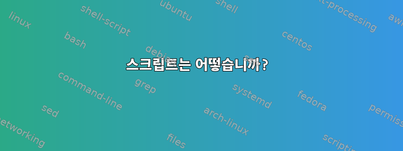 스크립트는 어떻습니까?