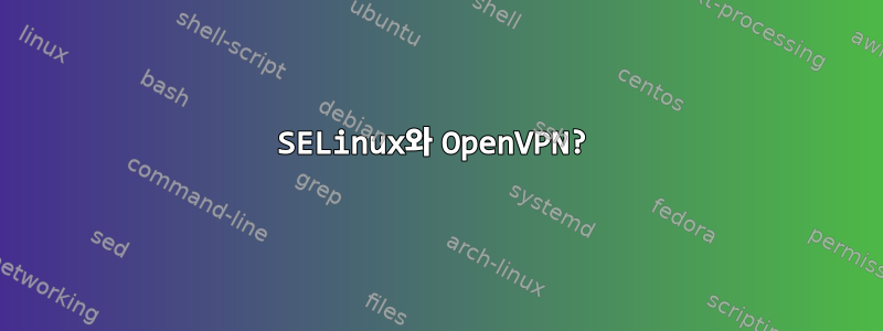 SELinux와 OpenVPN?