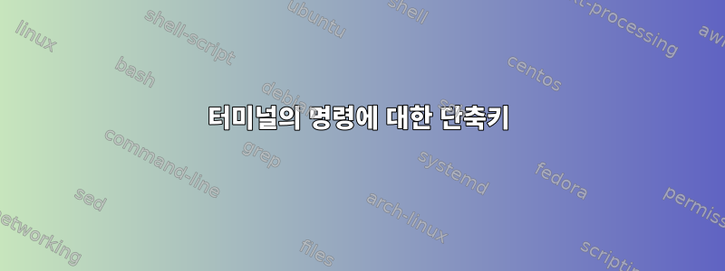 터미널의 명령에 대한 단축키