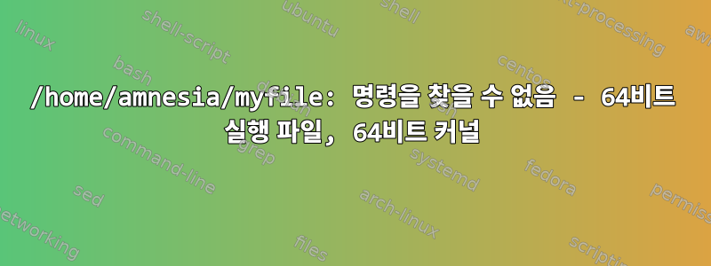 /home/amnesia/myfile: 명령을 찾을 수 없음 - 64비트 실행 파일, 64비트 커널