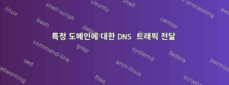 특정 도메인에 대한 DNS 트래픽 전달