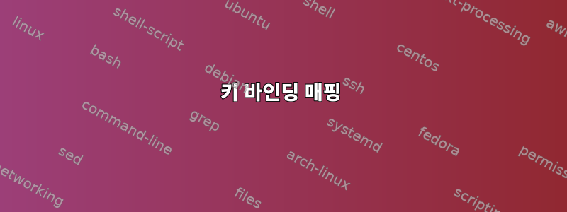 키 바인딩 매핑