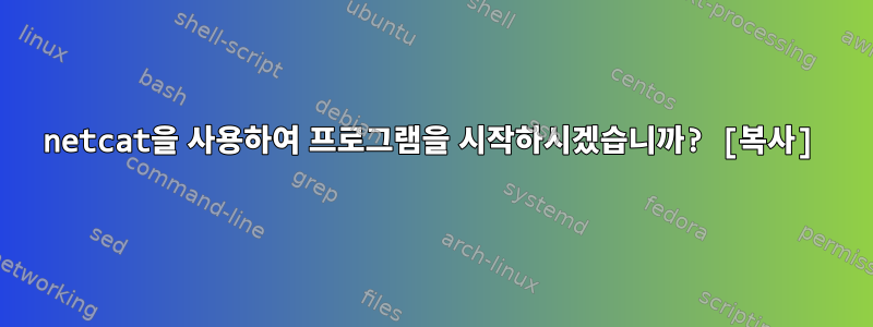 netcat을 사용하여 프로그램을 시작하시겠습니까? [복사]