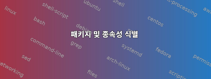 패키지 및 종속성 식별