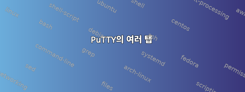 PuTTY의 여러 탭