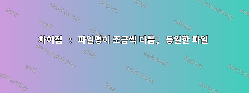 차이점 : 파일명이 조금씩 다름, 동일한 파일