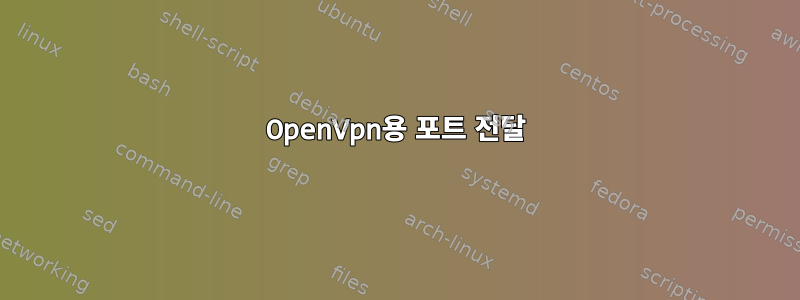 OpenVpn용 포트 전달