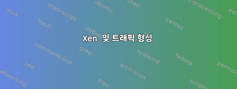 Xen 및 트래픽 형성