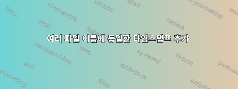 여러 파일 이름에 동일한 타임스탬프 추가