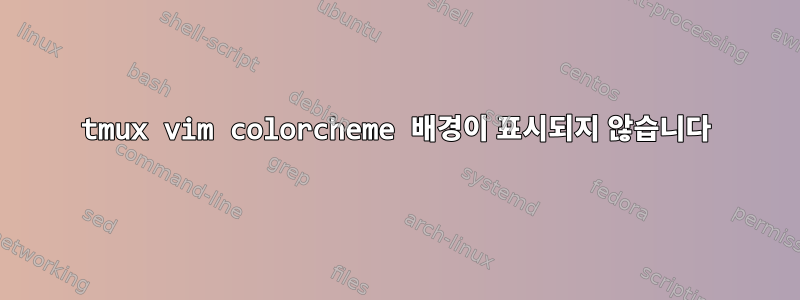 tmux vim colorcheme 배경이 표시되지 않습니다