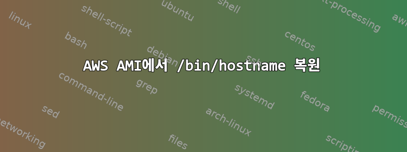 AWS AMI에서 /bin/hostname 복원