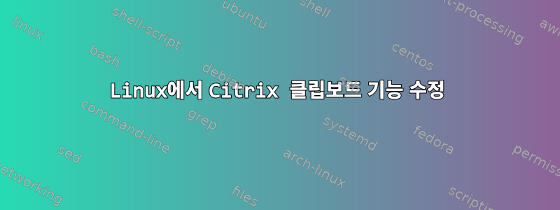 Linux에서 Citrix 클립보드 기능 수정