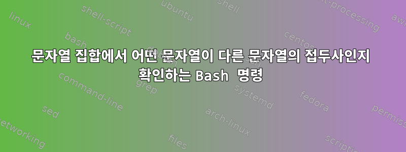 문자열 집합에서 어떤 문자열이 다른 문자열의 접두사인지 확인하는 Bash 명령